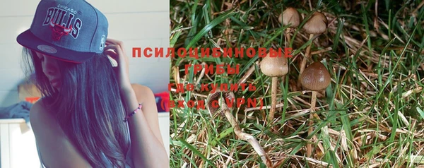 индика Покров