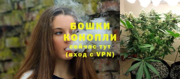 индика Покров