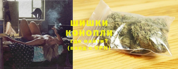индика Покров