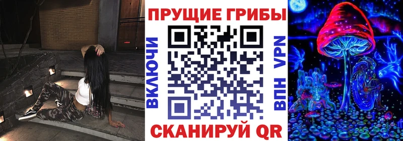 Псилоцибиновые грибы Magic Shrooms  это какой сайт  Красноперекопск 