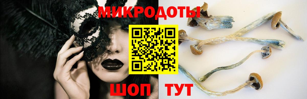 Псилоцибиновые грибы Magic Shrooms  Вход с VPN  Красноперекопск  Псилоцибиновые грибы Magic Shrooms 